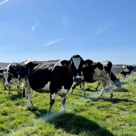 Chambre A La Ferme Precy-le-Sec Dış mekan fotoğraf