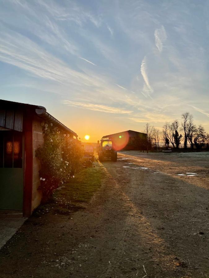 Chambre A La Ferme Precy-le-Sec Dış mekan fotoğraf