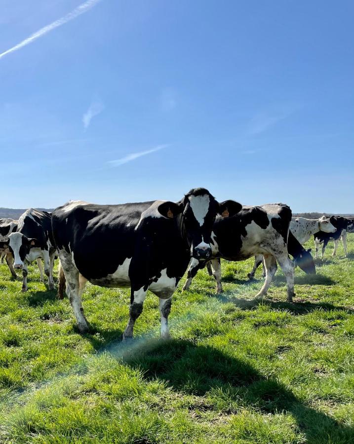 Chambre A La Ferme Precy-le-Sec Dış mekan fotoğraf